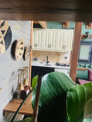 a kitchen with white cabinets and a large green plant at MİNNA BUTİK EV in Sapanca