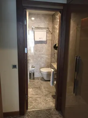 a bathroom with a toilet and a sink at Inera Hotel Pendik in Istanbul