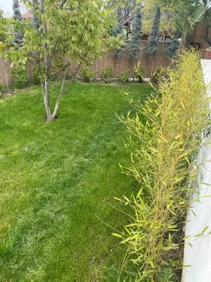 a yard with a tree and a fence at Nefes Vılla Sapanca in Sakarya
