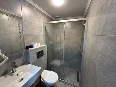 a bathroom with a shower and a toilet and a sink at Boutique Dedem Hotel Sultanahmet in Istanbul