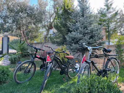 two bikes parked in the grass in a yard at Doğanın Kalbindeki Eviniz-9 Kişi in Gemlik