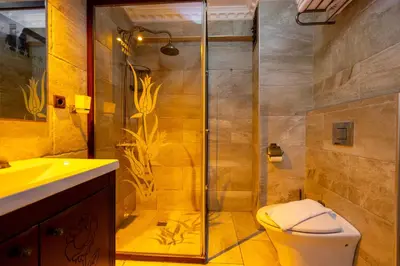 a bathroom with a shower with a toilet and a sink at The First Ottoman Apartments in Istanbul