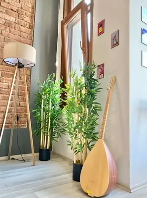 a room with three potted plants and a lamp at K&Y Apartments in Taksim 2 in Istanbul