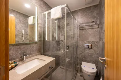 a bathroom with a shower and a sink and a toilet at Hotel Ravi in Istanbul