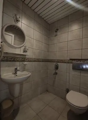 a bathroom with a sink and a toilet and a mirror at Hotel Nayla in Istanbul
