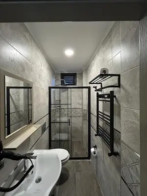 a bathroom with a shower and a white sink at Palma Suites in Istanbul