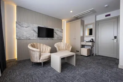 a hotel room with two chairs and a table and a tv at Moss Hotel YENİKAPI in Istanbul