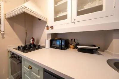 a kitchen with a counter top with a stove and a microwave at Elegant, spacious, quiet 3br near historic center in Istanbul
