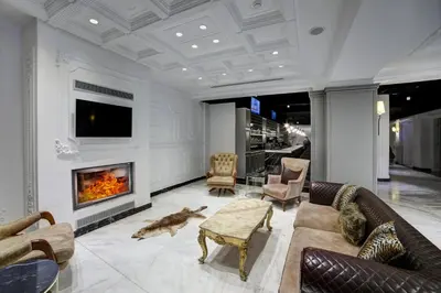 a living room with a couch and a fireplace at White Monarch Hotel in Istanbul