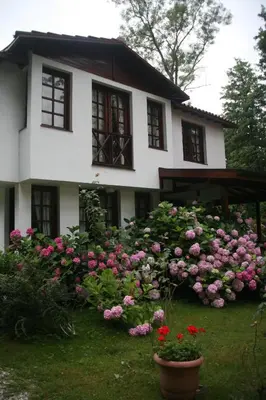 a house with pink flowers in front of it at Beta Home Sapanca in Sapanca