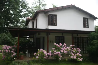 a small house with pink flowers in front of it at Beta Home Sapanca in Sapanca