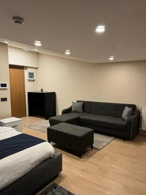 a living room with a couch and a bed at The Business Class Suit Karakoy in Istanbul