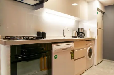 a kitchen with a stove and a dishwasher at G&B MANSION in Istanbul