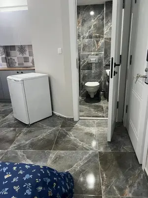 a bathroom with a sink and a toilet in a room at Zerya suites in Istanbul