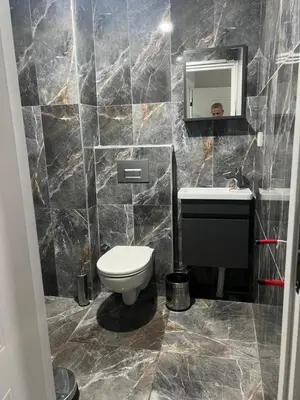 a bathroom with a toilet and a sink and a mirror at Zerya suites in Istanbul