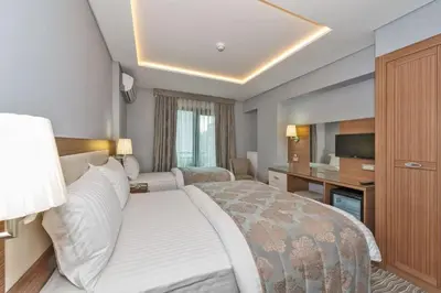 a hotel room with a large bed and a television at Floransa City Hotel in Istanbul