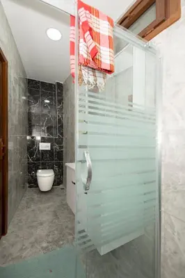 a bathroom with a glass shower and a toilet at Historical Levantine Flat @Heart of Taksim in Istanbul