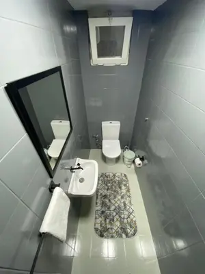 a bathroom with a toilet and a sink and a mirror at Alphan House in Sapanca