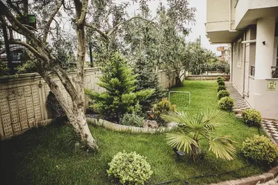a yard with a tree and some plants at Doğanın Kalbindeki Eviniz-7 Kişi in Gemlik
