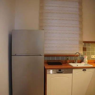 a kitchen with a white refrigerator and a sink at GALATA KULESİ yakınında geniş 3+1 tarihi daire in Istanbul