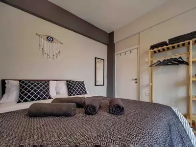 a bedroom with a large bed with two cats laying on it at Cihangir House in Istanbul