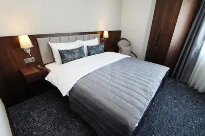 a bedroom with a large bed in a room at Pisa Hotel in Istanbul