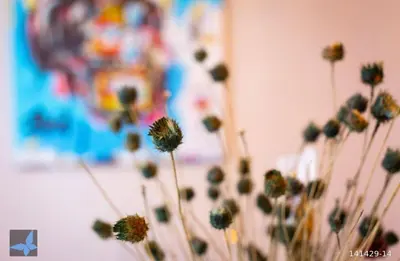 a bunch of flowers in front of a wall at Taksim FunHouse in Istanbul