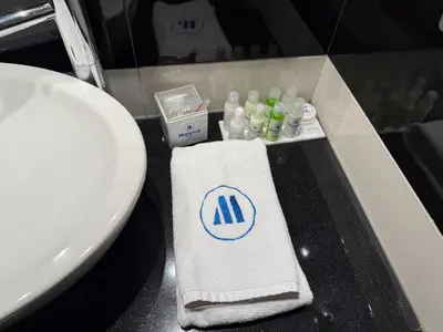 a bathroom with a sink and a white towel at Manesol Old City Bosphorus in Istanbul