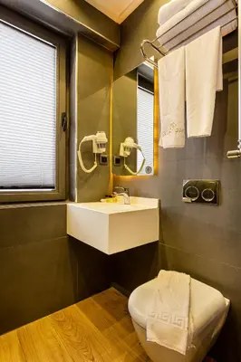 a bathroom with a sink and a toilet and a mirror at Santra Hotel in Istanbul