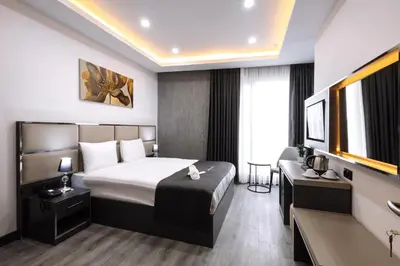 a hotel room with a bed and a desk at Meyzi Hotel in Istanbul