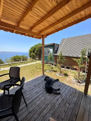 a black dog laying on a deck with two chairs at MOLA villas&suites in Marmara