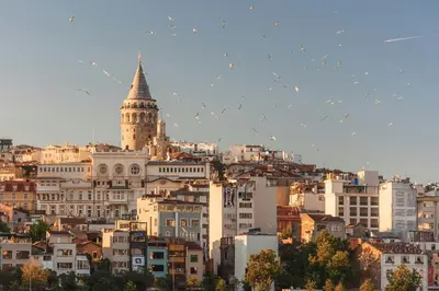a flock of birds flying over a city at No25 Suites Nisantasi in Istanbul