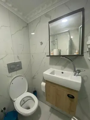 a bathroom with a toilet and a sink and a mirror at Sirkeci Esen Apart in Istanbul