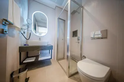 a bathroom with a toilet and a sink and a mirror at The Palm Bosphorus Hotel in Istanbul