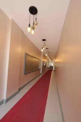 a long hallway with a red carpet and a red walkway at Cozy Homes - 2 Rooms & 1 Living room Apartment in Esenyurt