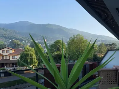 a plant on a balcony with mountains in the background at GateMaşukiye in Kartepe