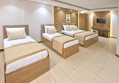 a room with two beds and a television in it at Lion City Hotel in Buyukcekmece
