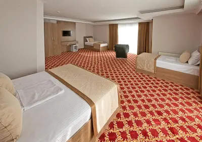 a hotel room with two beds and a red carpet at Lion City Hotel in Buyukcekmece