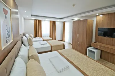 a hotel room with a bed and a television at Lion City Hotel in Buyukcekmece