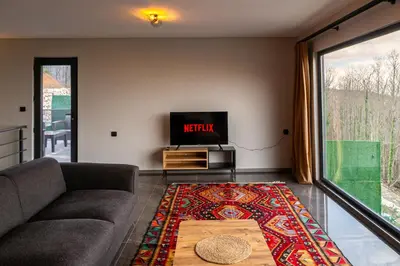 a living room with a couch and a tv at PANA Sapanca Lake View in Sapanca