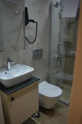 a bathroom with a sink and a shower and a toilet at Garden Elisa Hotel in Istanbul