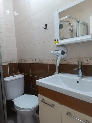 a bathroom with a toilet and a sink and a mirror at Taksim Dora Apart in Istanbul