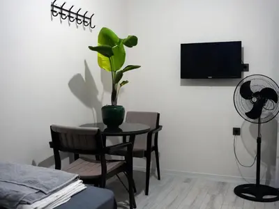 a room with a table with a plant and a fan at Mimen Hostel in Istanbul