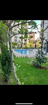 a tree in the grass next to a swimming pool at KÖYLÜM RESİDENCE-2 Bostancı in Istanbul
