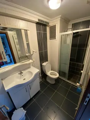 a bathroom with a sink and a toilet and a shower at İsra home 2 in Istanbul