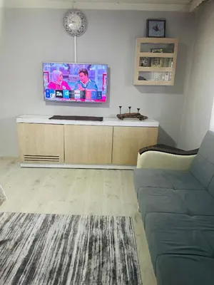 a living room with a large flat screen tv at Farm Village in Sakarya