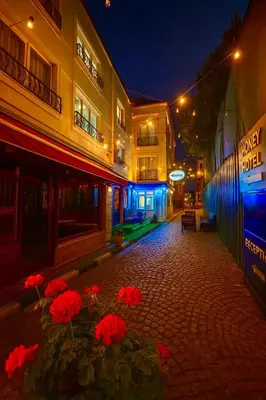 a street at night with red flowers and buildings at Honey Hotel in Istanbul