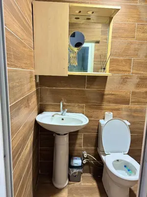 a small bathroom with a toilet and a sink at Taksim Plaza Suite in Istanbul