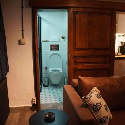 a living room with a couch and a toilet at Beyoğlu'nda dubleks tarihi daire in Istanbul