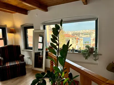 a living room with a large window and a plant at The Wooden 17 in Istanbul